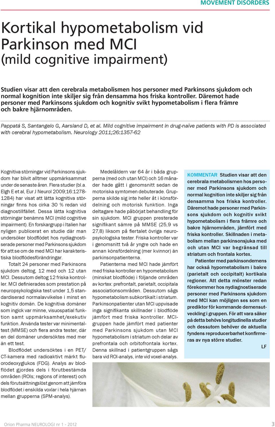 Pappatá S, Santangelo G, Aarsland D, et al. Mild cognitive impairment in drug-naïve patients with PD is associated with cerebral hypometabolism.