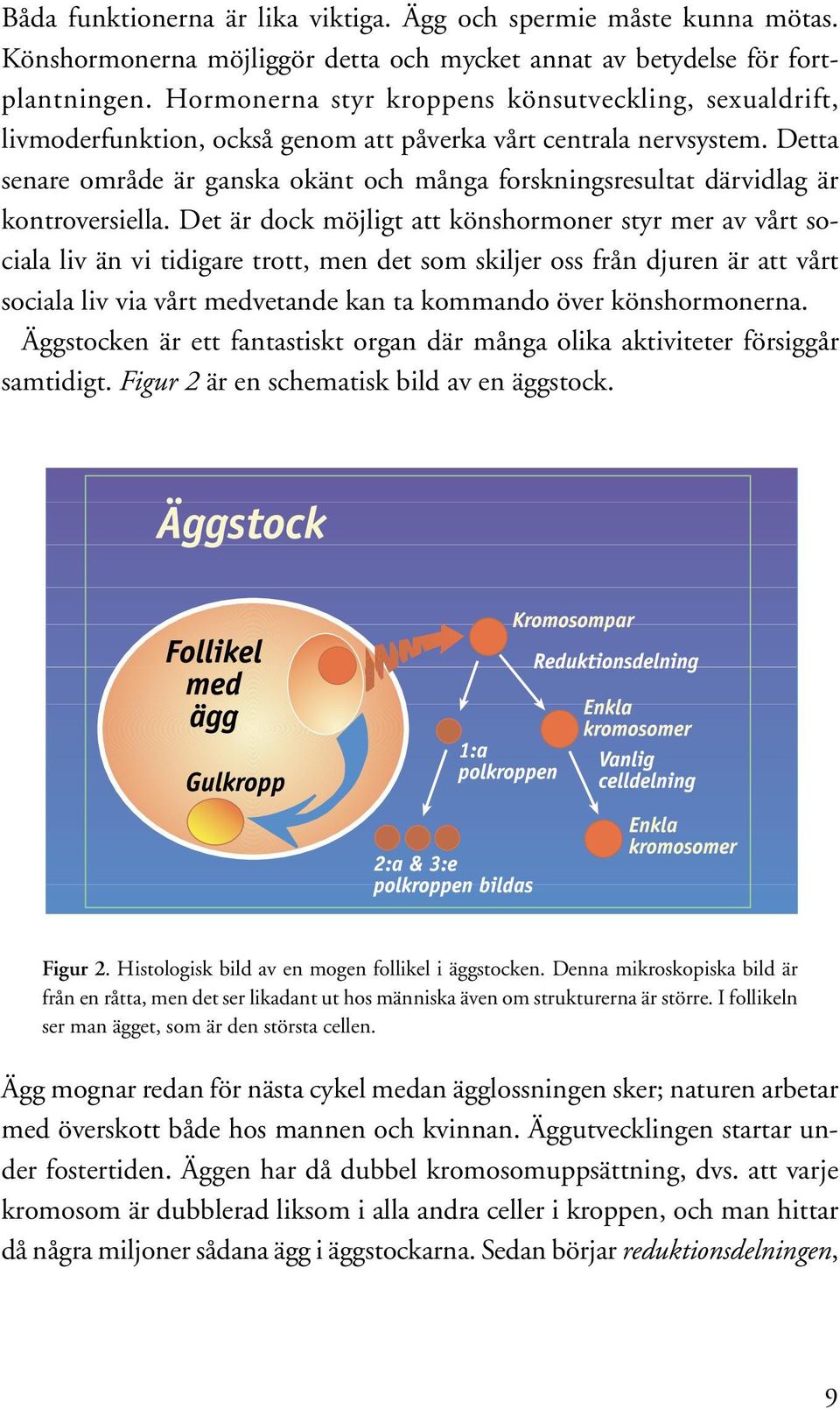 Detta senare område är ganska okänt och många forskningsresultat därvidlag är kontroversiella.