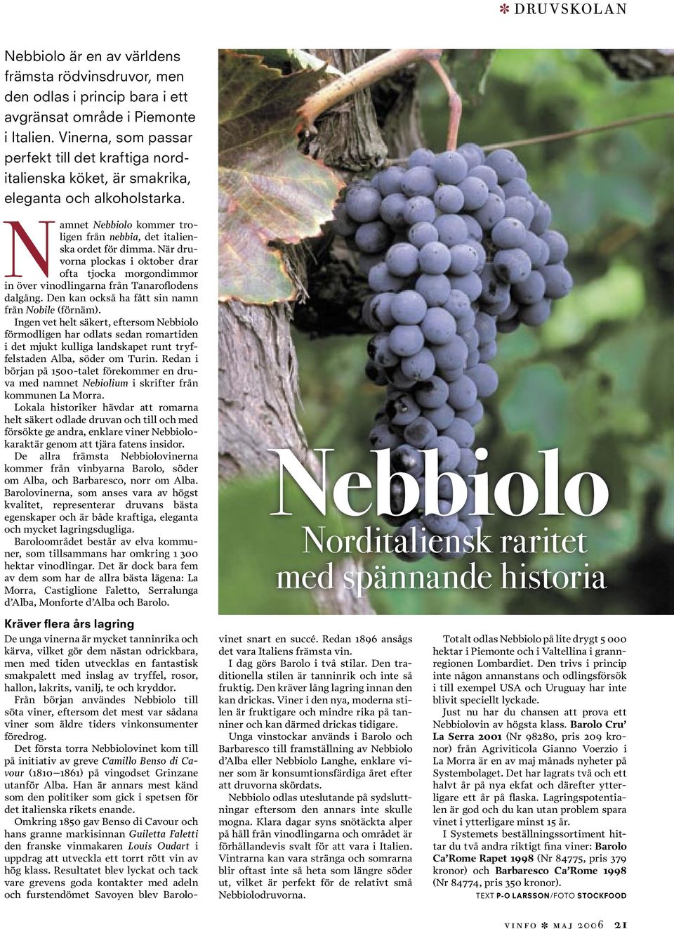 När druvorna plockas i oktober drar ofta tjocka morgondimmor in över vinodlingarna från Tanaroflodens dalgång. Den kan också ha fått sin namn från Nobile (förnäm).