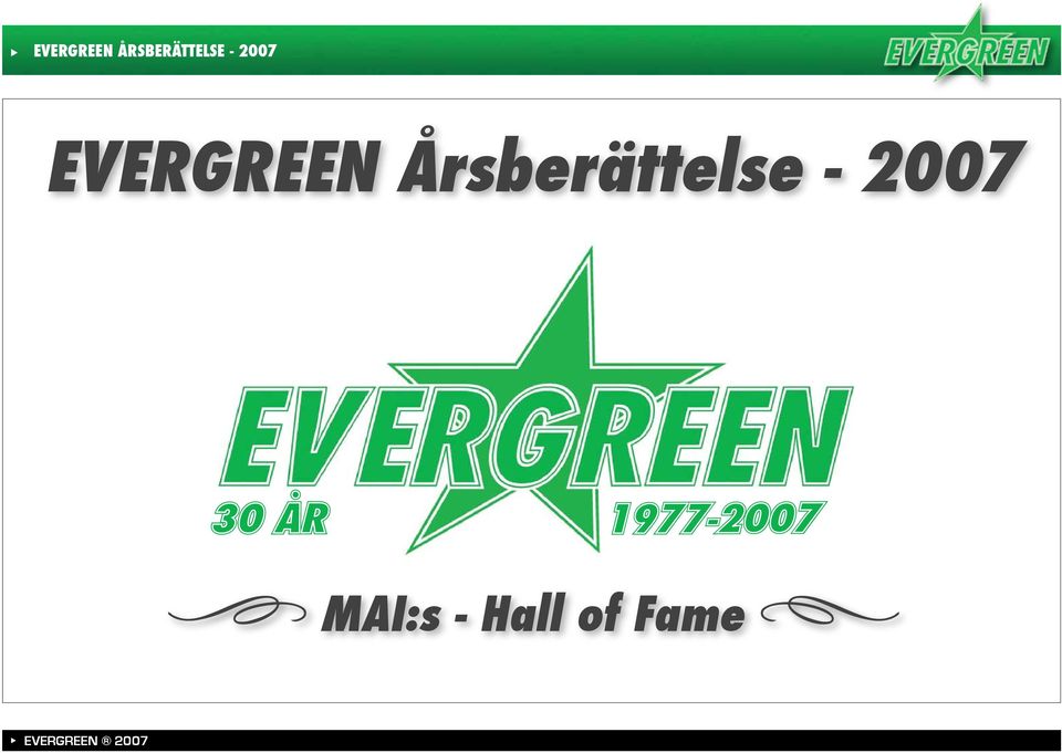 Årsberättelse - 2007