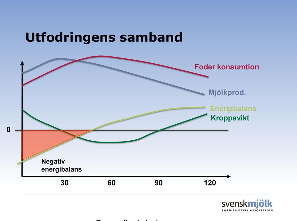 0 Energibalans Kroppsvikt