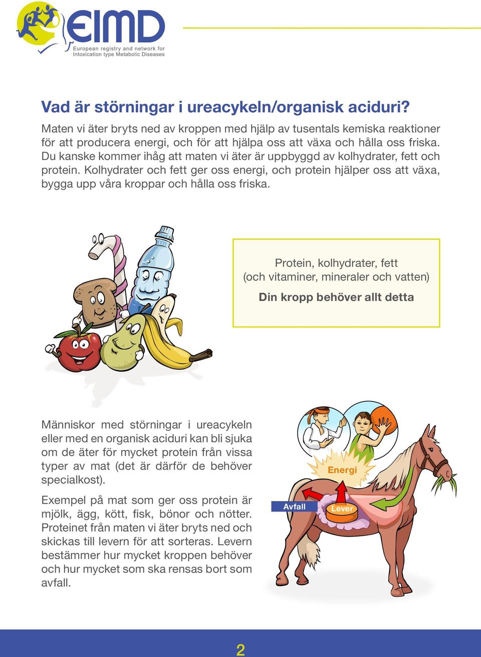 Du kanske kommer ihåg att maten vi äter är uppbyggd av kolhydrater, fett och protein.