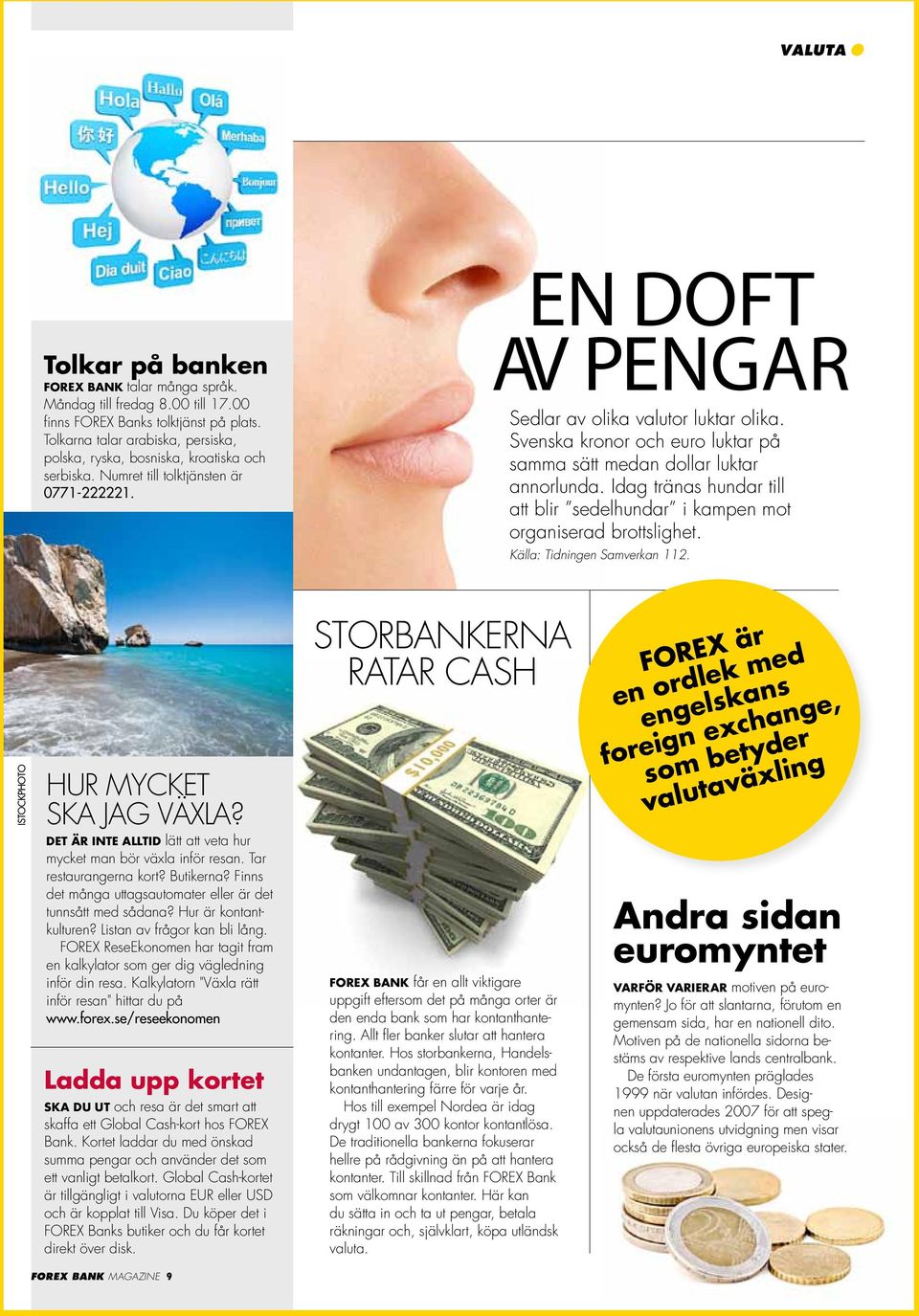 Svenska kronor och euro luktar på samma sätt medan dollar luktar annorlunda. Idag tränas hundar till att blir sedelhundar i kampen mot organiserad brottslighet. Källa: Tidningen Samverkan 112.