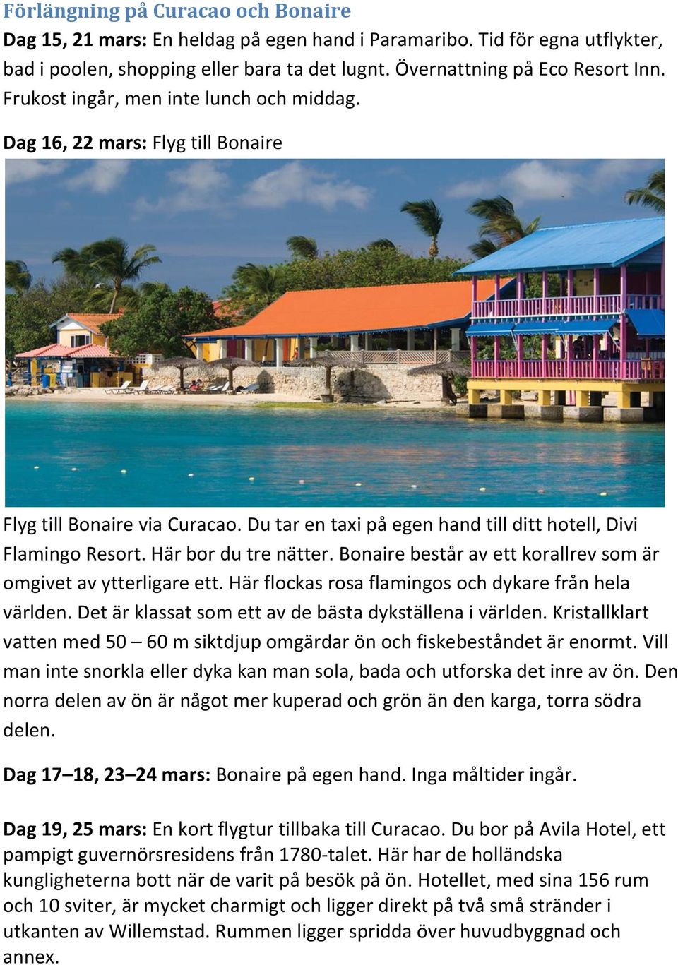 Bonaire består av ett korallrev som är omgivet av ytterligare ett. Här flockas rosa flamingos och dykare från hela världen. Det är klassat som ett av de bästa dykställena i världen.