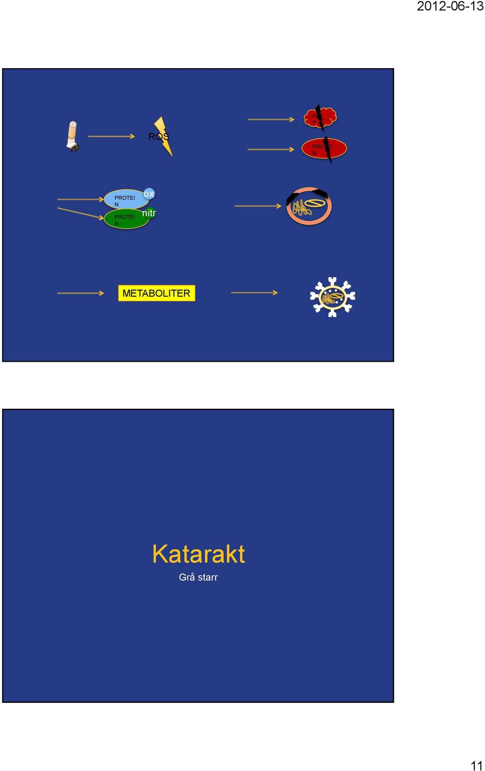 nitr METABOLITER