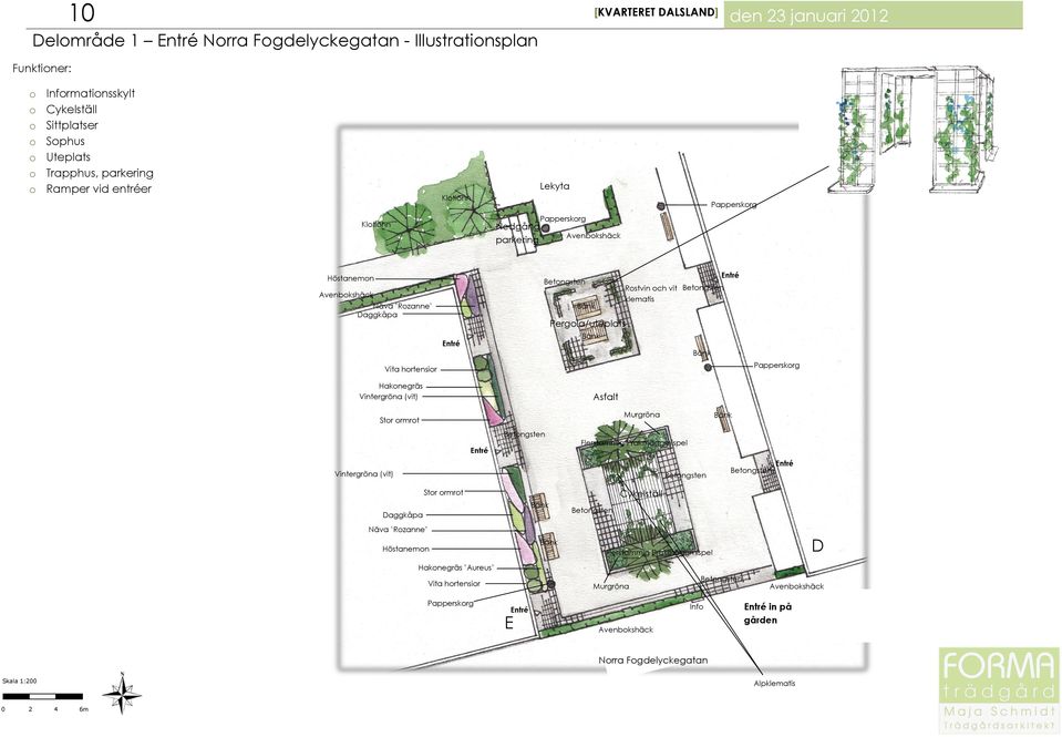 Vintergröna (vit) Stor ormrot Murgröna Betongsten Flerstammig Prakthäggmispel Vintergröna (vit) Betongsten Betongsten Stor ormrot Daggkåpa Betongsten Cykelställ Näva Rozanne