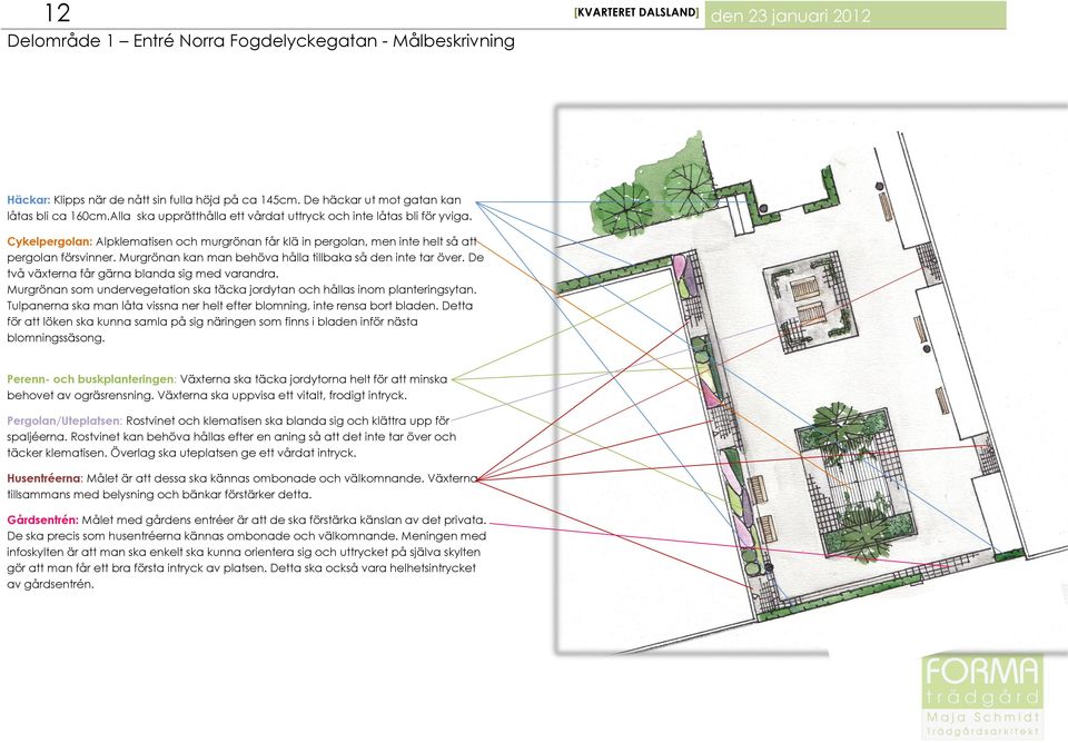 Murgrönan kan man behöva hålla tillbaka så den inte tar över. De två växterna får gärna blanda sig med varandra. Murgrönan som undervegetation ska täcka jordytan och hållas inom planteringsytan.