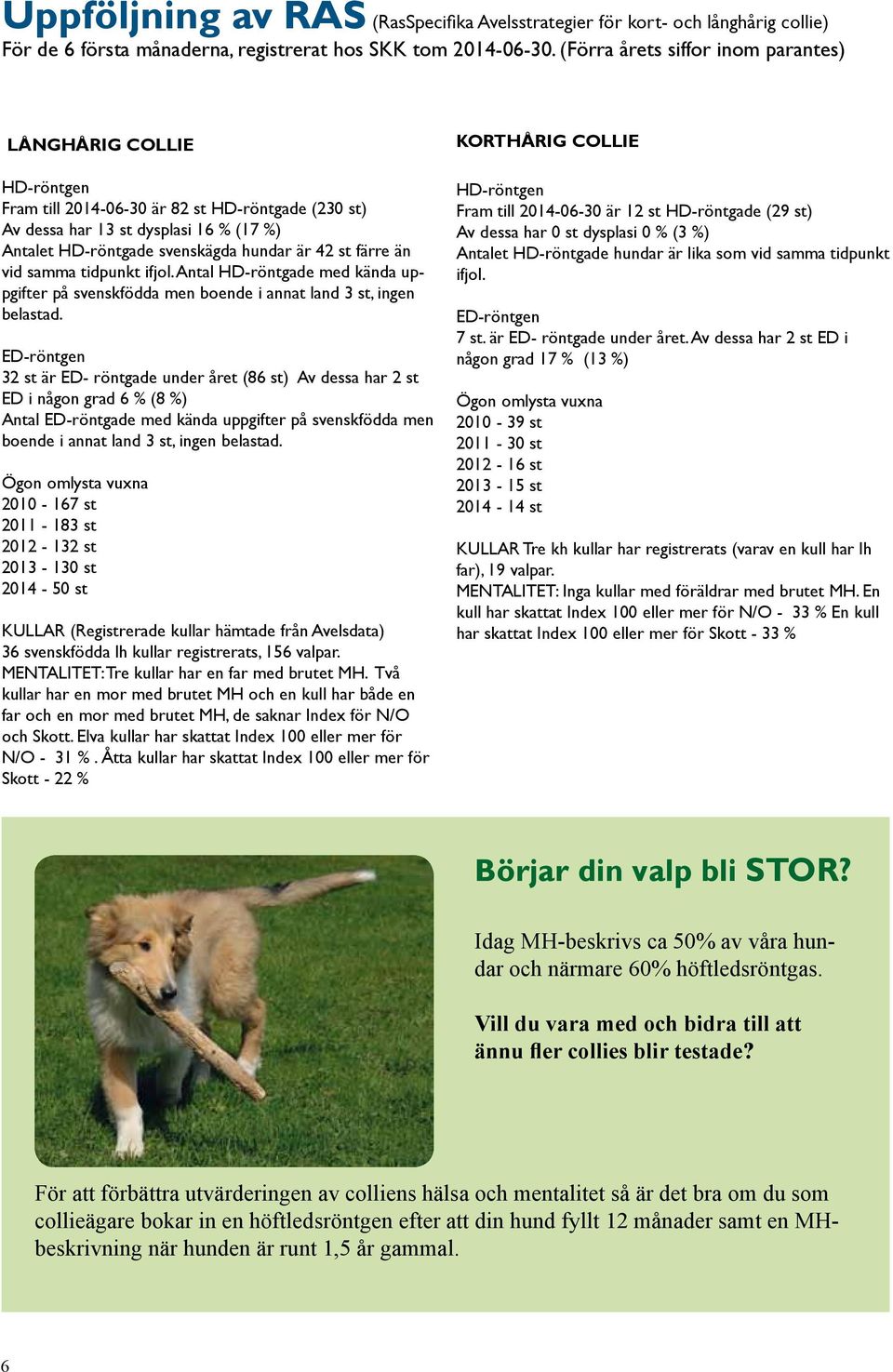 st färre än vid samma tidpunkt ifjol. Antal HD-röntgade med kända uppgifter på svenskfödda men boende i annat land 3 st, ingen belastad.