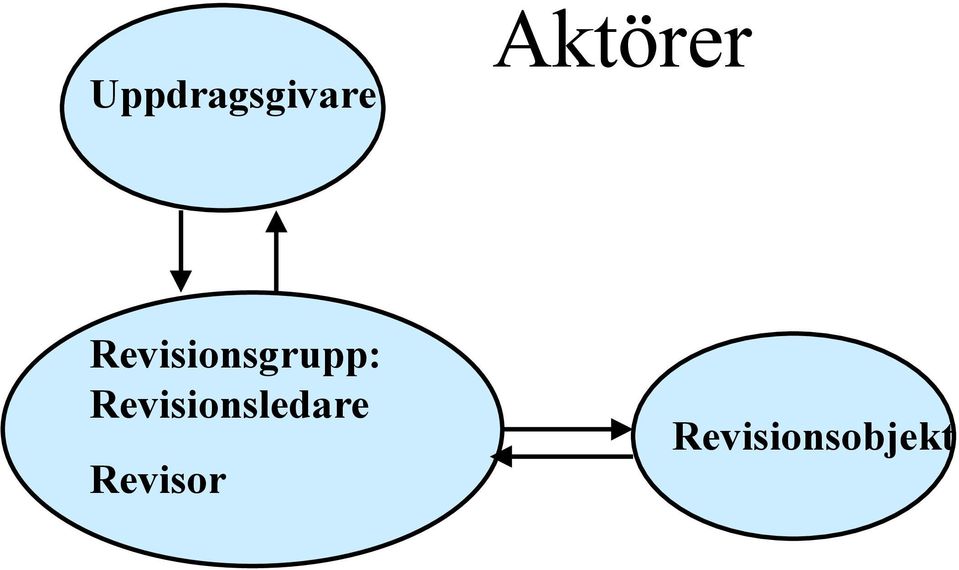 Revisionsgrupp: