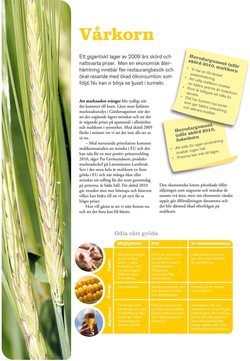 Läser man fjolårets marknadsanalys i Gårdsmagasinet står det att det utgående lagret minskat och att det är stigande priser på spannmål i allmänhet och maltkorn i synnerhet.