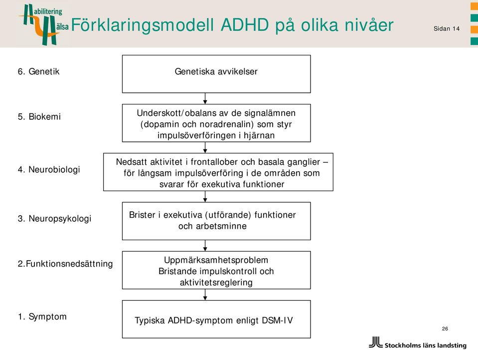 Neurobiologi Nedsatt aktivitet i frontallober och basala ganglier för långsam impulsöverföring i de områden som svarar för exekutiva