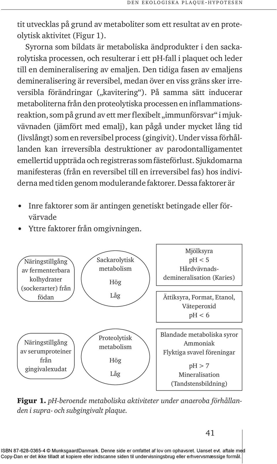 Den tidiga fasen av emaljens demineralisering är reversibel, medan över en viss gräns sker irreversibla förändringar ( kavitering ).