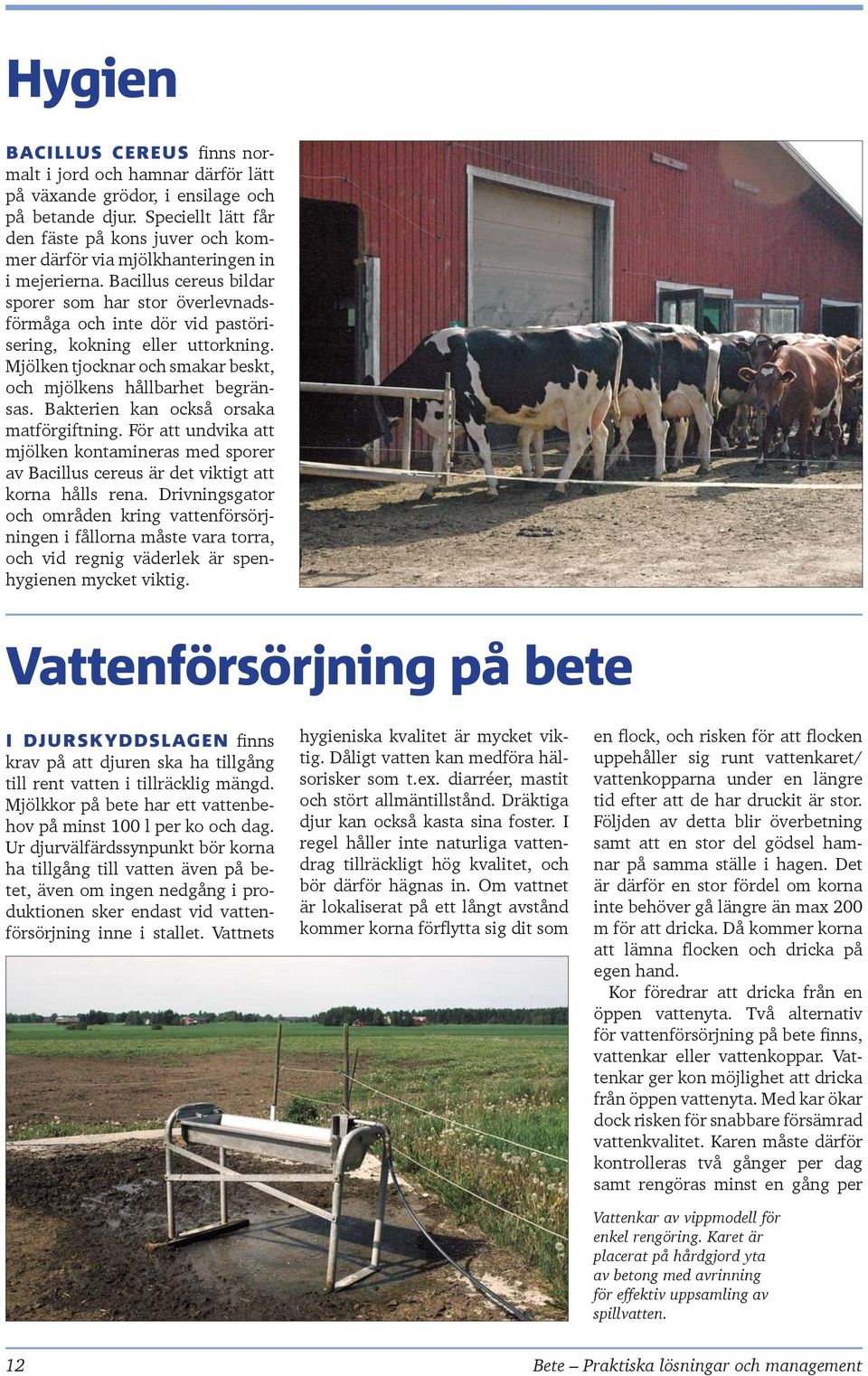 Bacillus cereus bildar sporer som har stor överlevnadsförmåga och inte dör vid pastörisering, kokning eller uttorkning. Mjölken tjocknar och smakar beskt, och mjölkens hållbarhet begränsas.