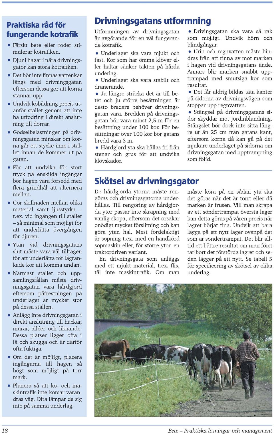 Gödselbelastningen på drivningsgatan minskar om korna går ett stycke inne i stallet innan de kommer ut på gatan.