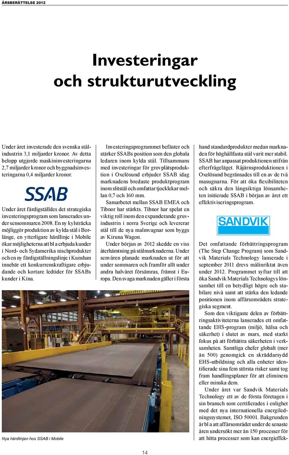 Under året färdigställdes det strategiska investeringsprogram som lanserades under sensommaren 2008.