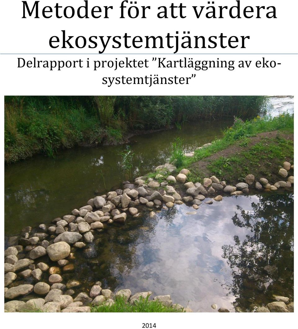 Delrapport i projektet