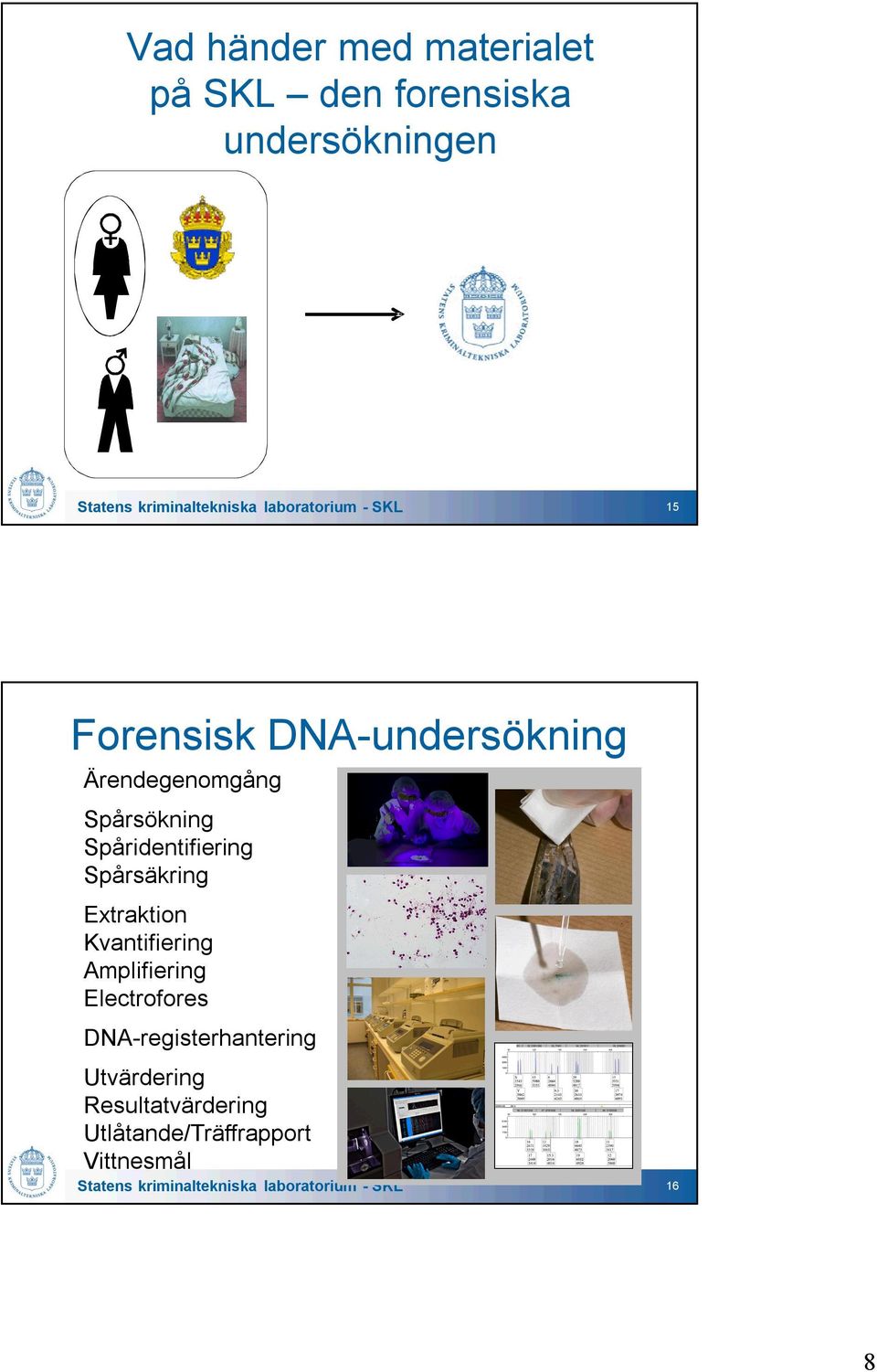 Spårsäkring Extraktion Kvantifiering Amplifiering Electrofores DNA-registerhantering