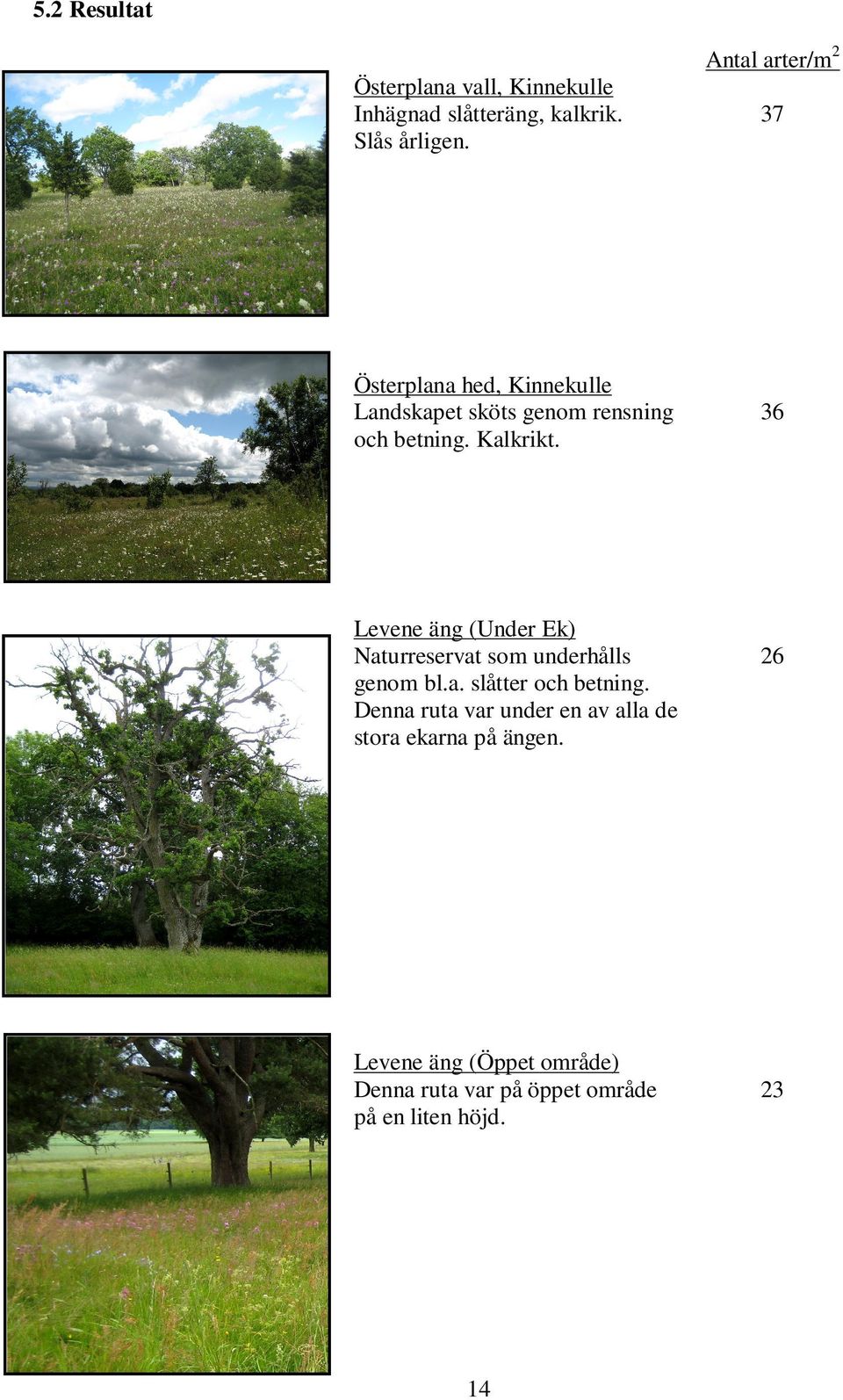 36 Levene äng (Under Ek) Naturreservat som underhålls genom bl.a. slåtter och betning.