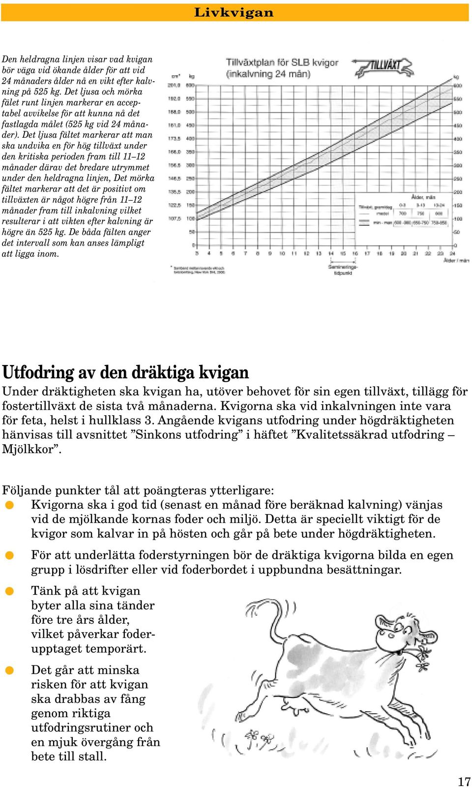 Det ljusa fältet markerar att man ska undvika en för hög tillväxt under den kritiska perioden fram till 11 12 månader därav det bredare utrymmet under den heldragna linjen, Det mörka fältet markerar