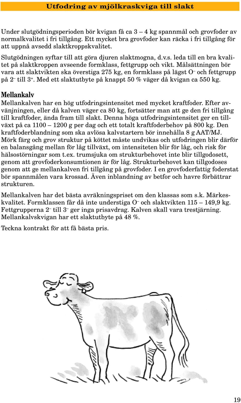 Målsättningen bör vara att slaktvikten ska överstiga 275 kg, en formklass på lägst O och fettgrupp på 2 till 3 +. Med ett slaktutbyte på knappt 50 % väger då kvigan ca 550 kg.