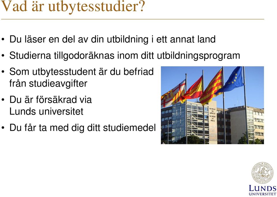 tillgodoräknas inom ditt utbildningsprogram Som utbytesstudent