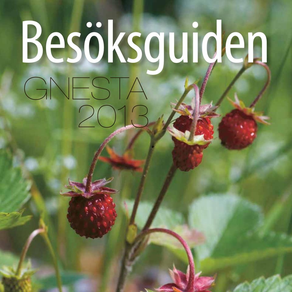 besöksguiden