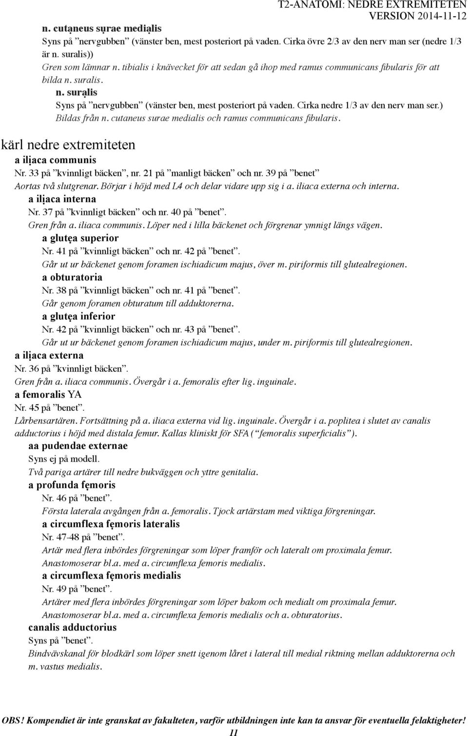 Cirka nedre 1/3 av den nerv man ser.) Bildas från n. cutaneus surae medialis och ramus communicans fibularis. kärl nedre extremiteten a ilịaca communis Nr. 33 på kvinnligt bäcken, nr.