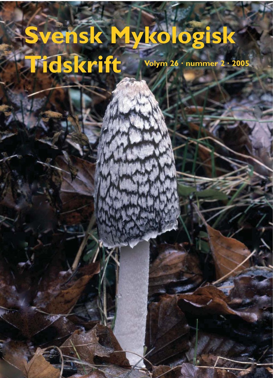 Tidskrift