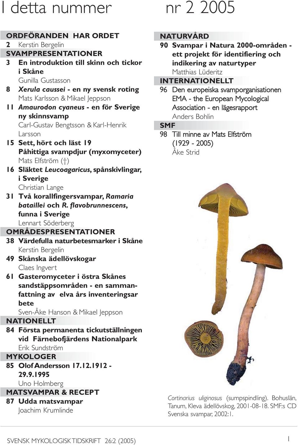 16 Släktet Leucoagaricus, spånskivlingar, i Sverige Christian Lange 31 Två korallfingersvampar, Ramaria bataillei och R.