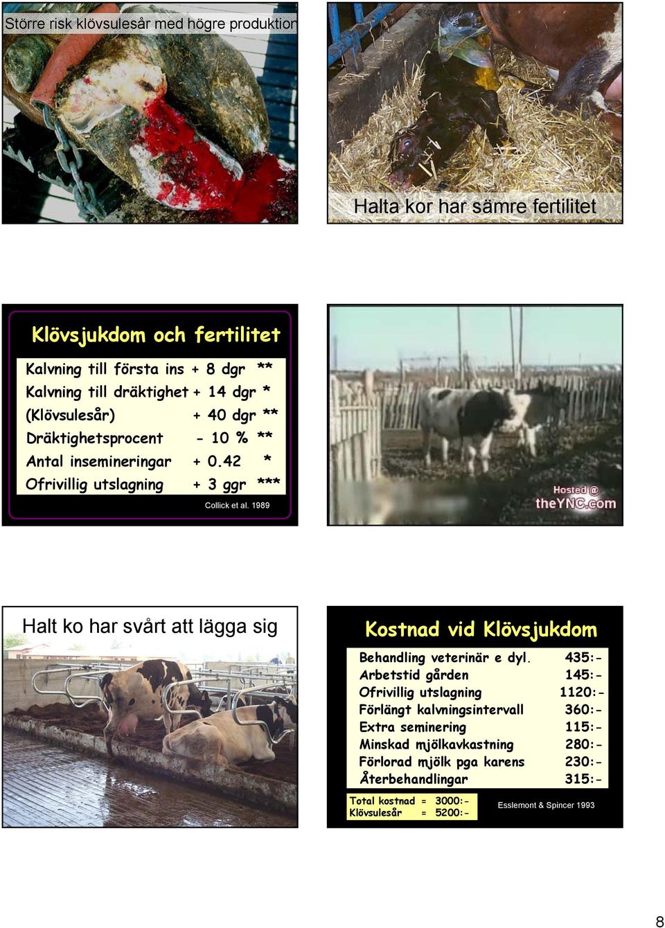 1989 Halt ko har svårt att lägga sig Kostnad vid Klövsjukdom Behandling veterinär e dyl.