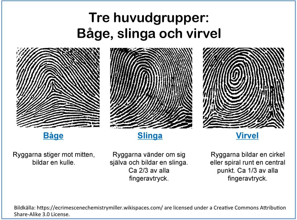 Ryggarna bildar en cirkel eller spiral runt en central punkt. Ca 1/3 av alla fingeravtryck.