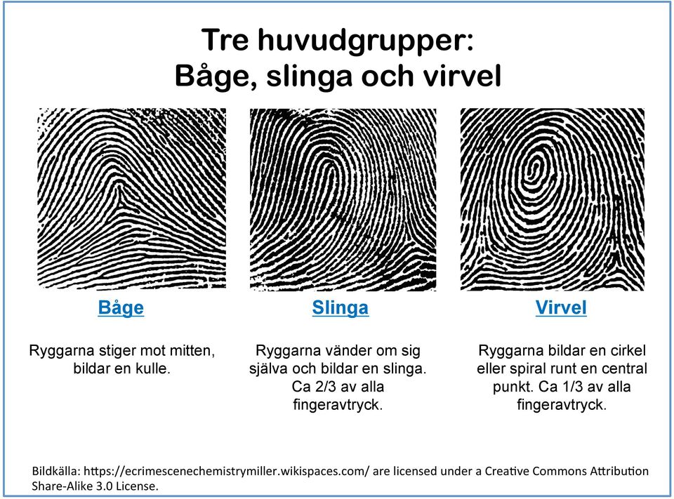 Ryggarna bildar en cirkel eller spiral runt en central punkt. Ca 1/3 av alla fingeravtryck.