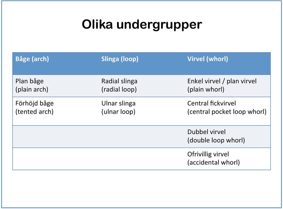 loop) Enkel virvel / plan virvel (plain whorl) Central fickvirvel (central