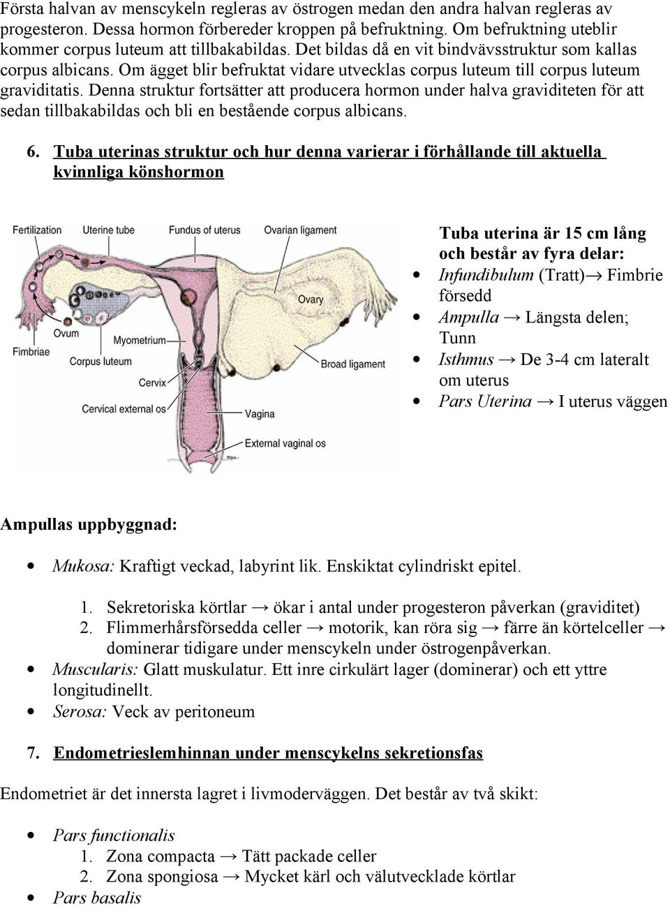 Om ägget blir befruktat vidare utvecklas corpus luteum till corpus luteum graviditatis.