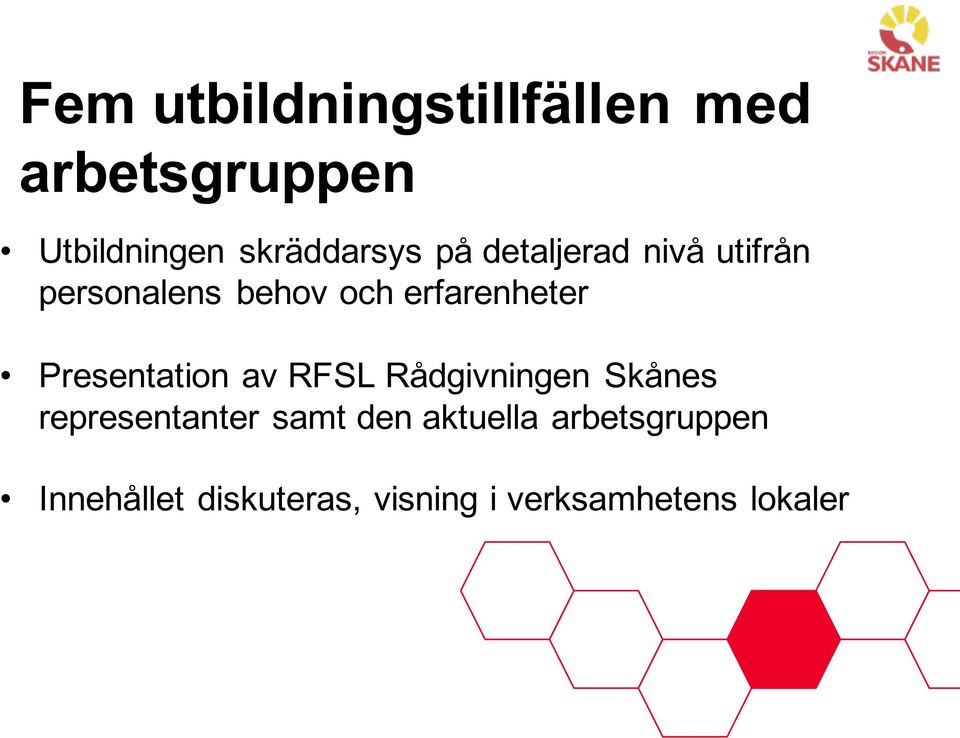 Presentation av RFSL Rådgivningen Skånes representanter samt den