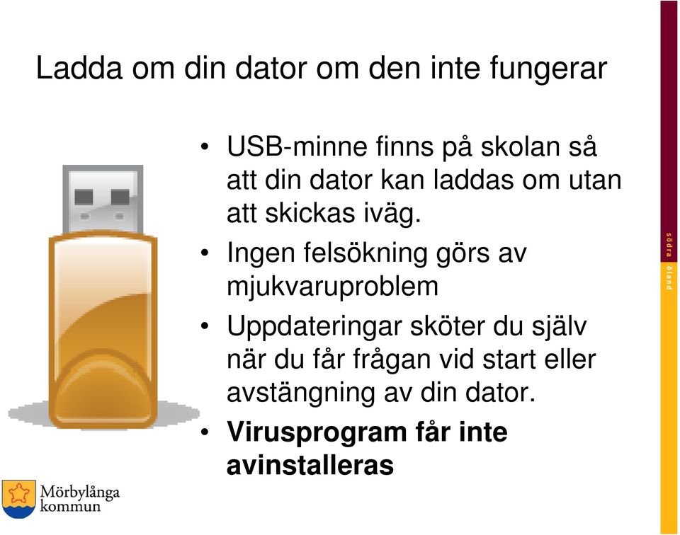 Ingen felsökning görs av mjukvaruproblem Uppdateringar sköter du själv