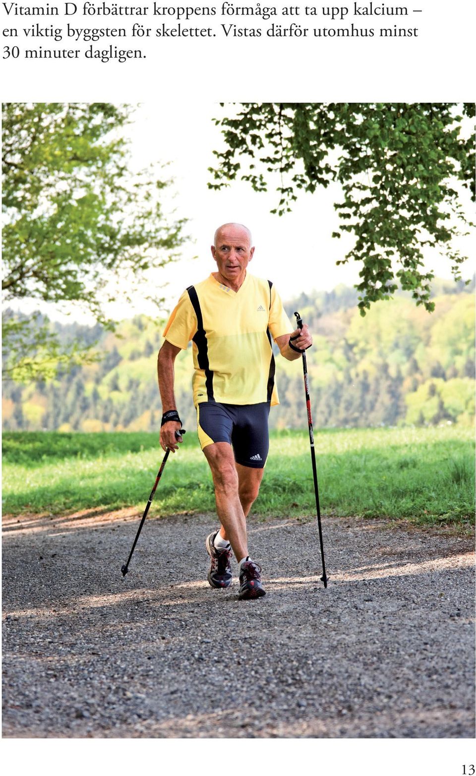 viktig byggsten för skelettet.