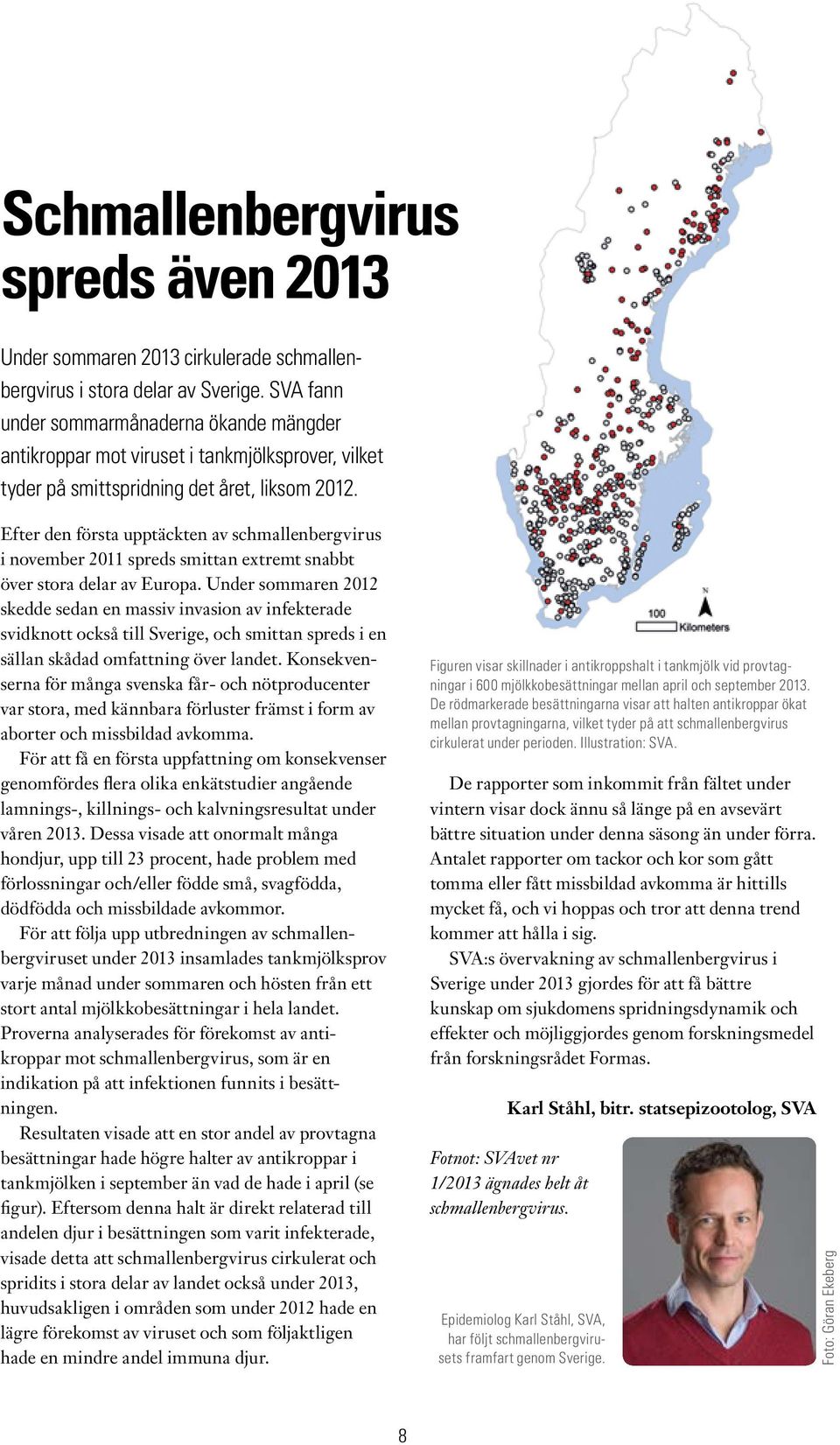 Efter den första upptäckten av schmallenbergvirus i november 2011 spreds smittan extremt snabbt över stora delar av Europa.