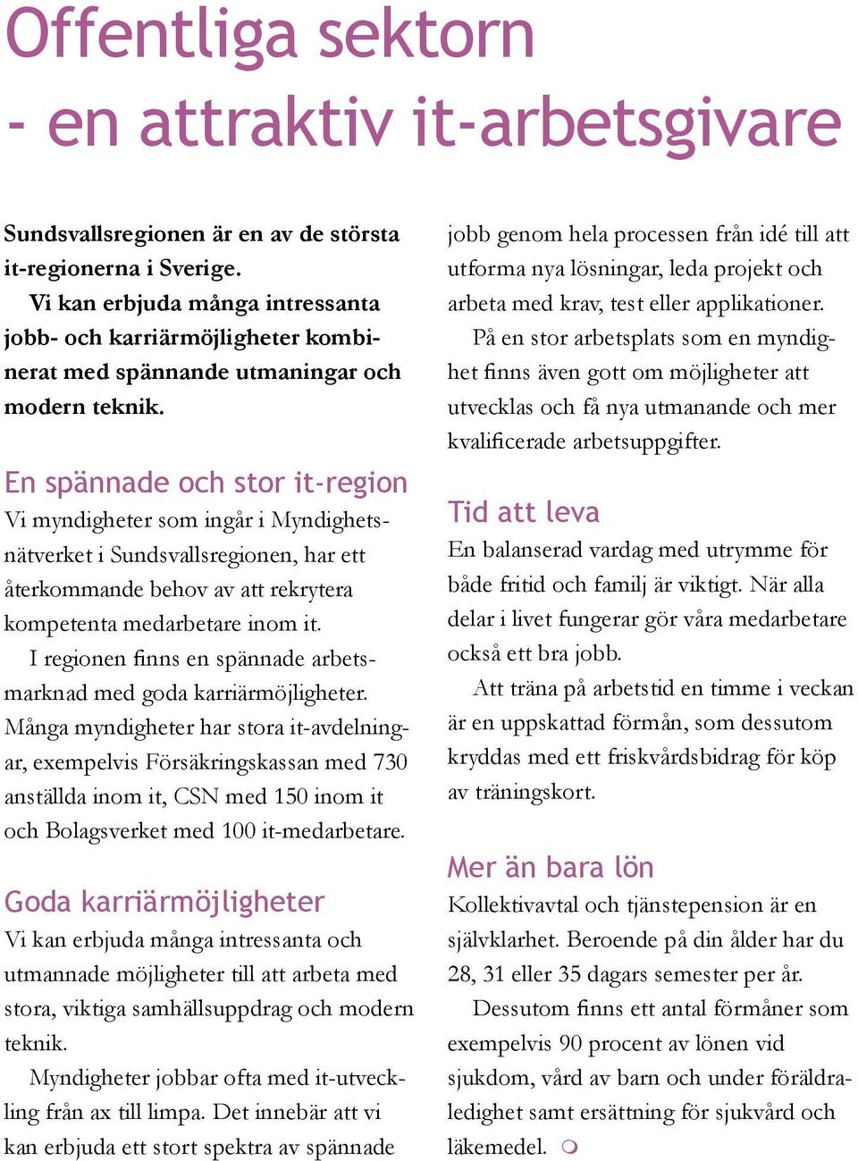 En spännade och stor it-region Vi myndigheter som ingår i Myndighetsnätverket i Sundsvallsregionen, har ett återkommande behov av att rekrytera kompetenta medarbetare inom it.