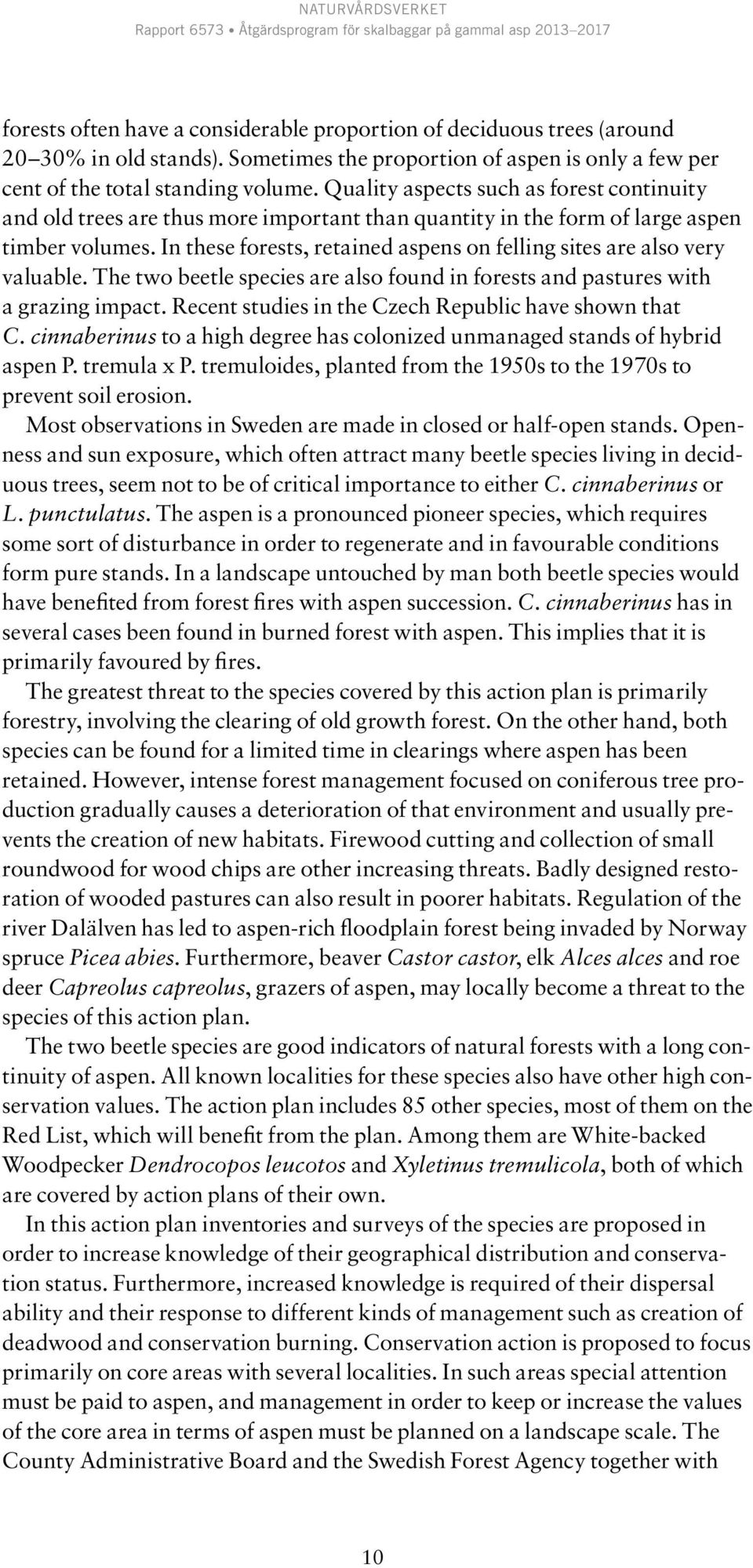 In these forests, retained aspens on felling sites are also very valuable. The two beetle species are also found in forests and pastures with a grazing impact.