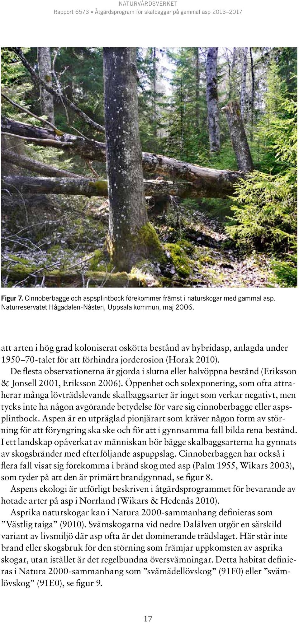 De flesta observationerna är gjorda i slutna eller halvöppna bestånd (Eriksson & Jonsell 2001, Eriksson 2006).