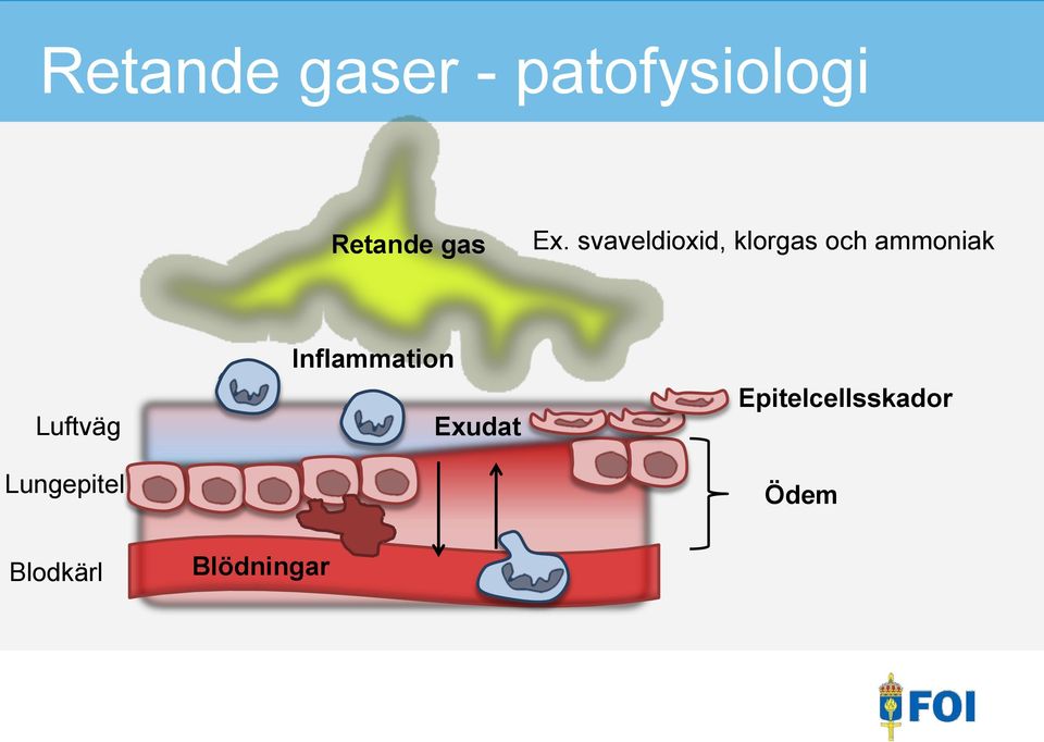 svaveldioxid, klorgas och ammoniak