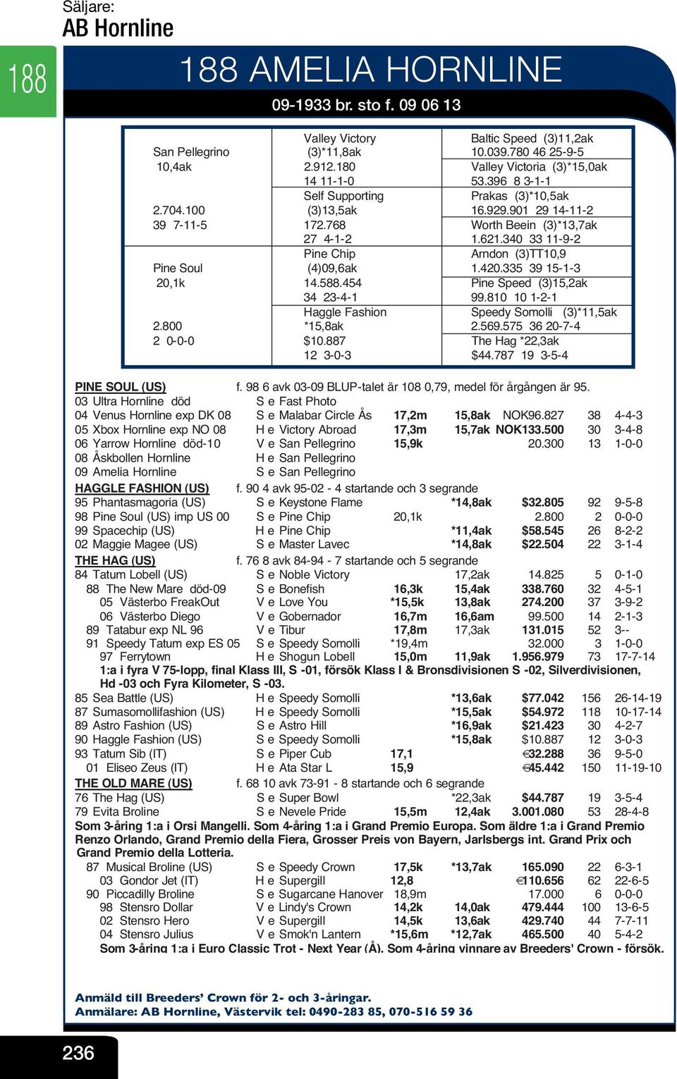 340 33 11-9-2 Pine Chip V Arndon (3)TT10,9 Pine Soul (4)09,6ak V 1.420.335 39 15-1-3 20,1k 14.588.454 V Pine Speed (3)15,2ak 34 23-4-1 V 99.810 10 1-2-1 Haggle Fashion V Speedy Somolli (3)*11,5ak 2.