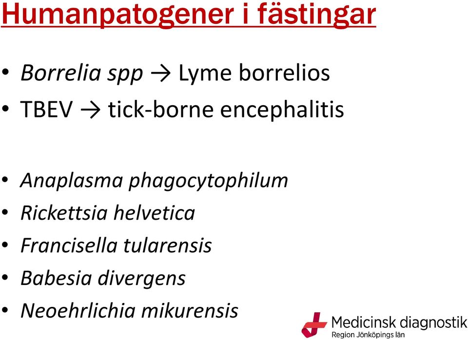 phagocytophilum Rickettsia helvetica Francisella