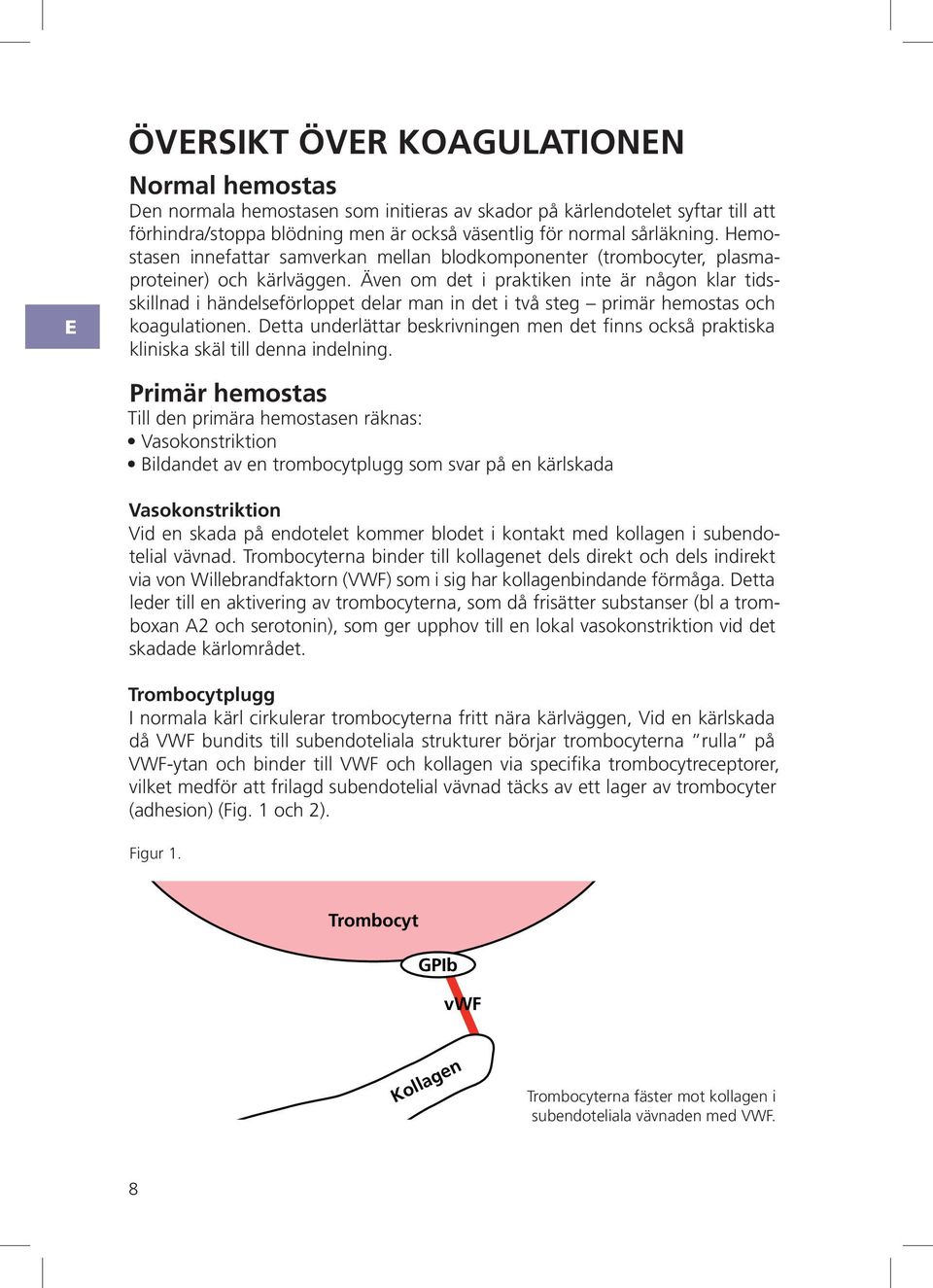 Även om det i praktiken inte är någon klar tidsskillnad i händelseförloppet delar man in det i två steg primär hemostas och koagulationen.