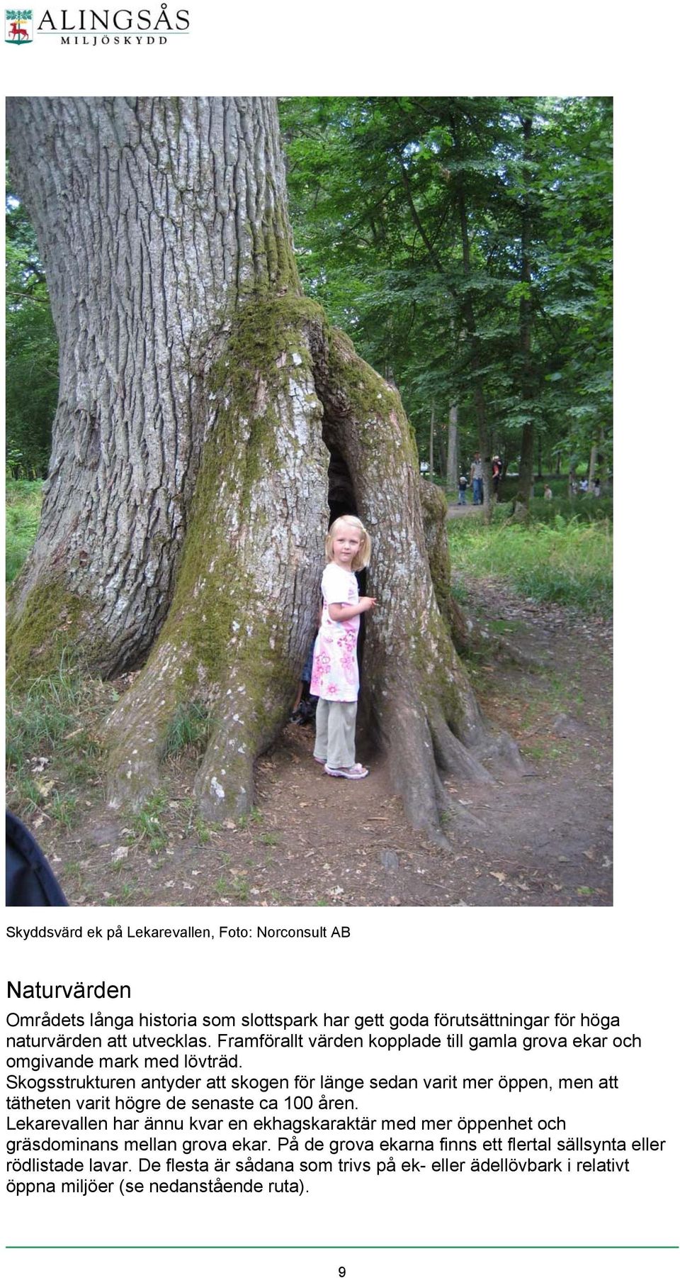 Skogsstrukturen antyder att skogen för länge sedan varit mer öppen, men att tätheten varit högre de senaste ca 100 åren.