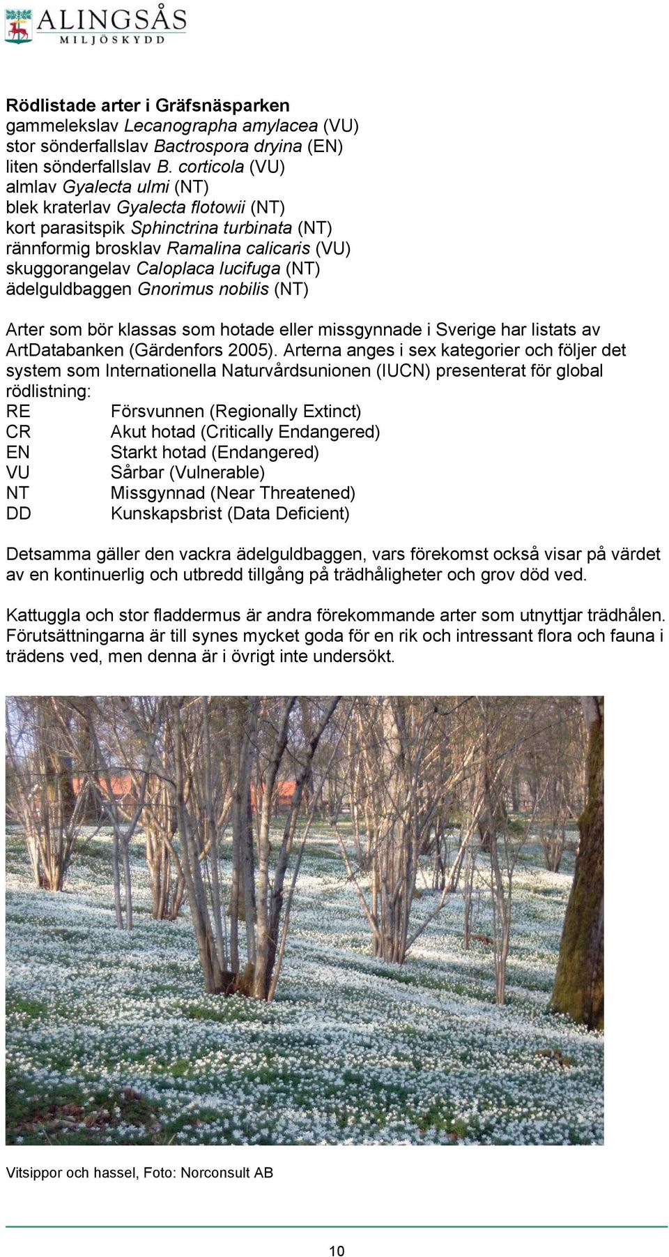 lucifuga (NT) ädelguldbaggen Gnorimus nobilis (NT) Arter som bör klassas som hotade eller missgynnade i Sverige har listats av ArtDatabanken (Gärdenfors 2005).