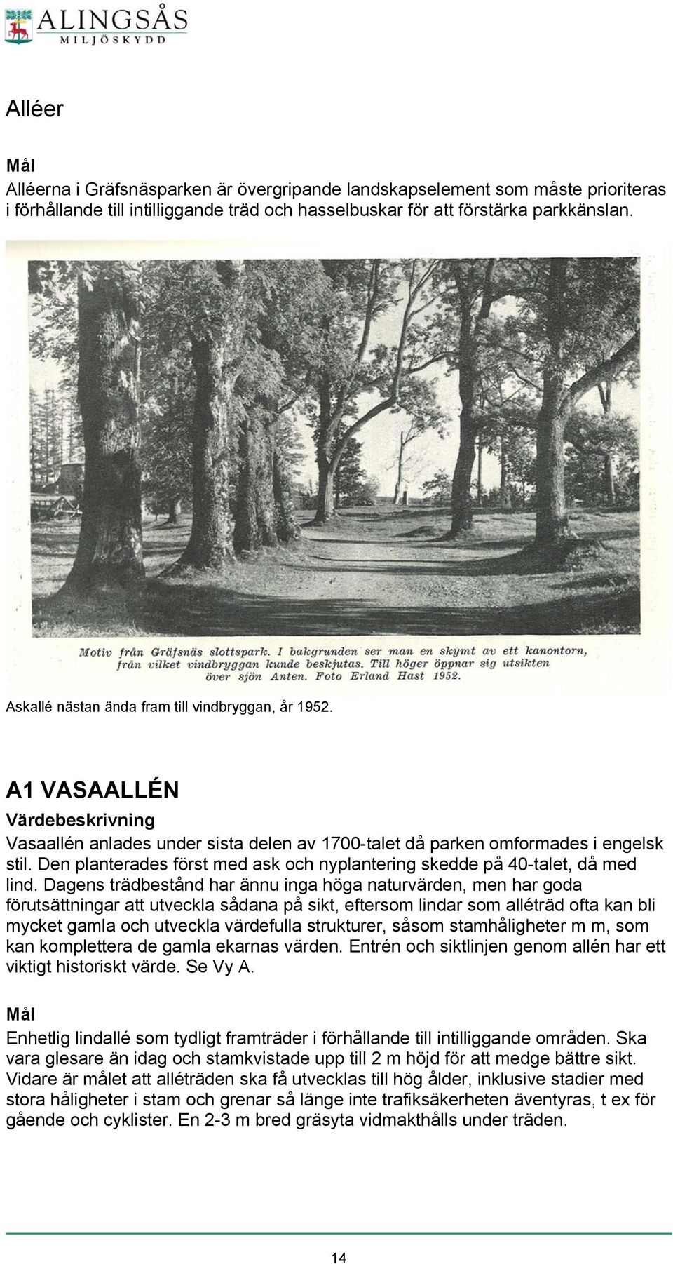 Den planterades först med ask och nyplantering skedde på 40-talet, då med lind.