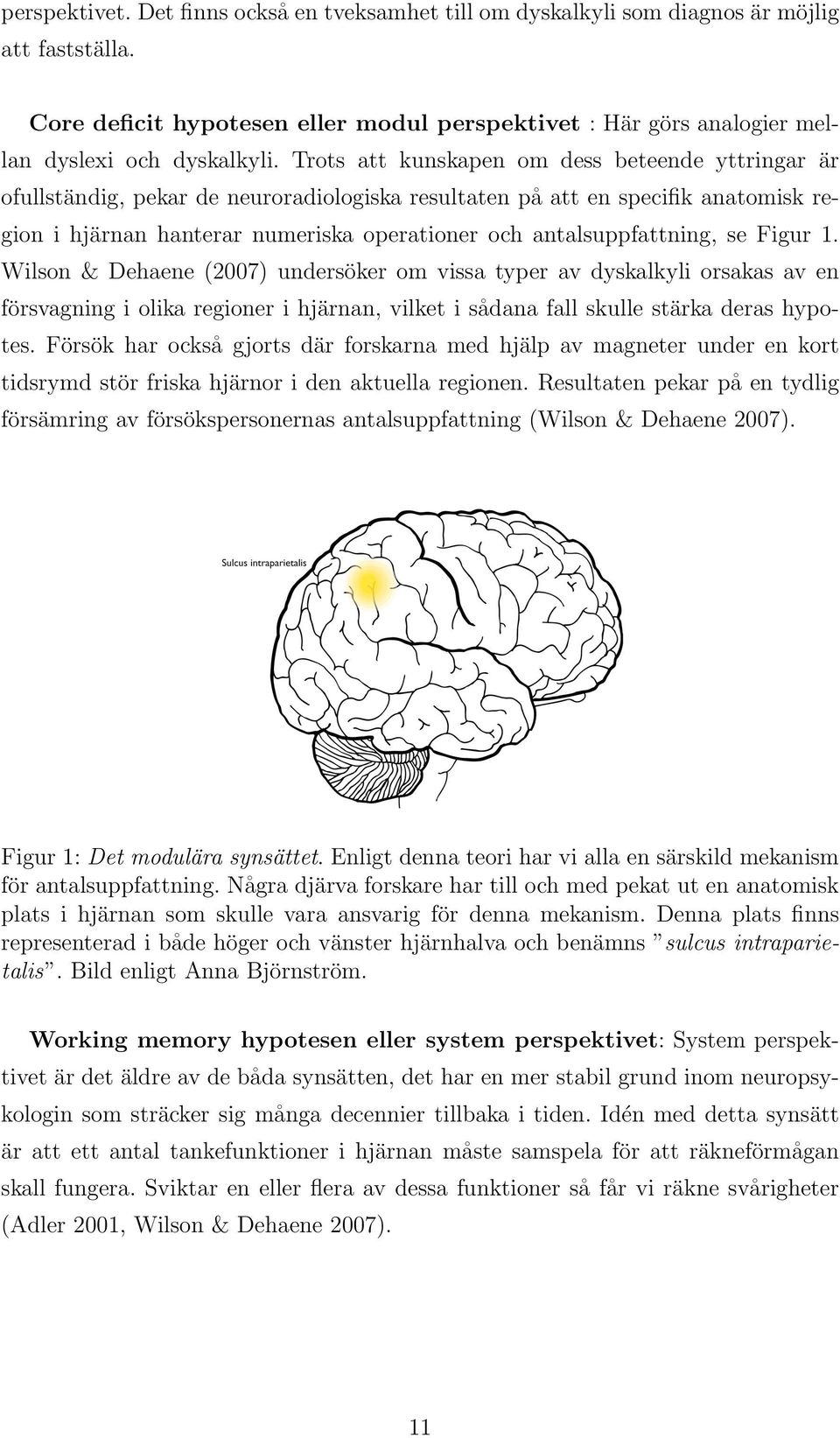 antalsuppfattning, se Figur 1. Wilson & Dehaene (2007) undersöker om vissa typer av dyskalkyli orsakas av en försvagning i olika regioner i hjärnan, vilket i sådana fall skulle stärka deras hypotes.