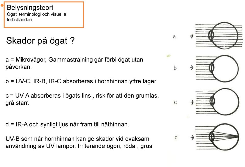 lins, risk för att den grumlas, grå starr.